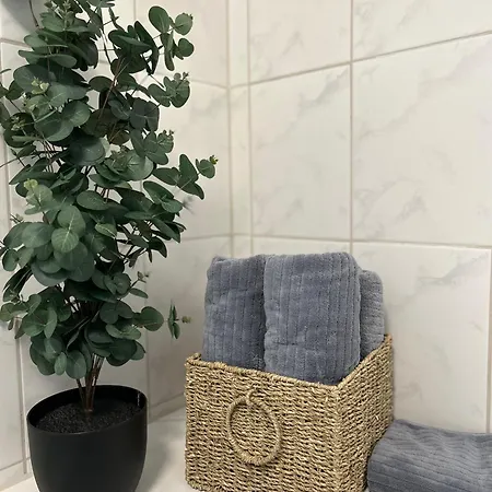 Apartman Rene *